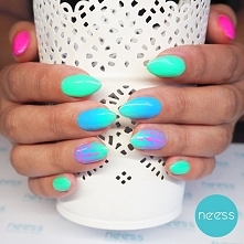 Lakiery hybrydowe NEESS. St...