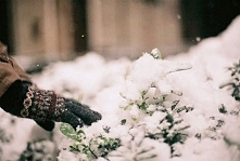 Poczuć to, dotknąć tego <3 Let it snow <3