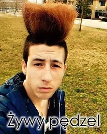 Żywy pędzel