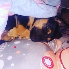 moje kochanie *.* Mój kochany Quebo *.* <3
Mój śpioch :D