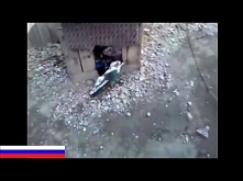 Pies najlepszym przyjacielem człowieka, nawet budę odstąpi