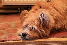 Mama wychodziła na rano do ...