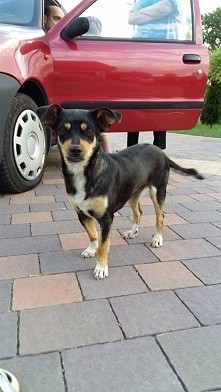 Moja tosia♡♡♡♡♡♡