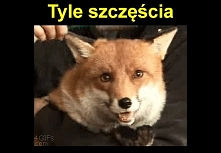 Tyle szczeswcia