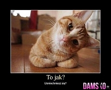 raz, dwa.... Uśmiech