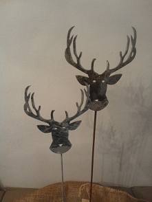 Renifery- kolorystyka dowol...