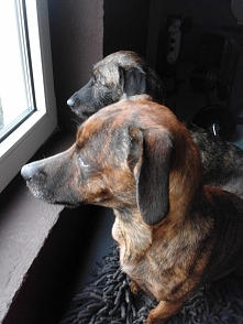 razem ale jednak z dystansem