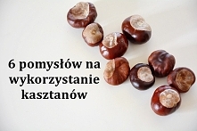 Pomysły na wykorzystanie kasztanów
