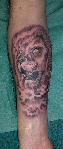 Tatuaż lew