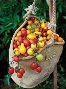 jesienne dekoracje, dekoracje domu jesienią, artykułu do dekoracji domu, pomysły na jesienną dekorację