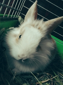 Moja mała miłość :)