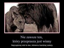 Nie zawsze przeprasza winny.