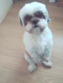 No weź mnie na ręce! Mój sł...