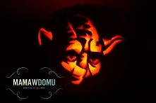 Dynia w wersji Star Wars