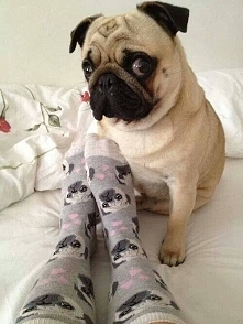 Skąd masz te skarpety?