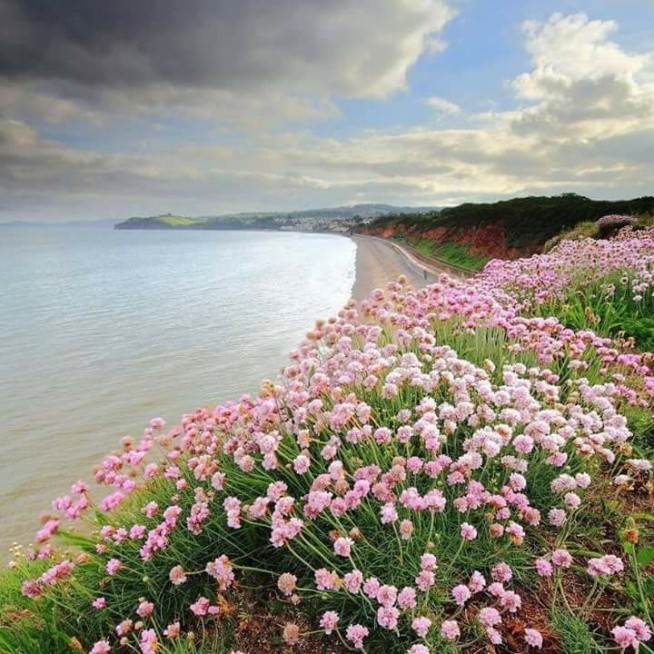 Devon, England