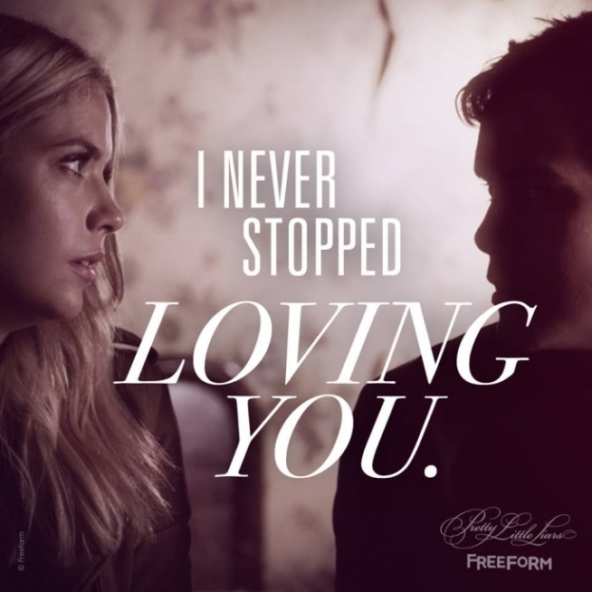 Haleb forever