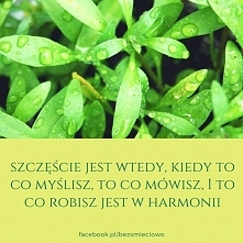 Szczęście...