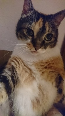 Nasz oczasty wampirek