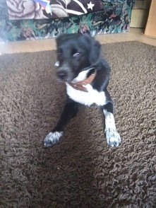 Polub mnie !✳✳♥♦♣♠♣♥♥