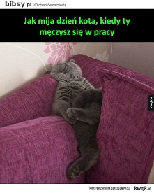 Takiemu to dobrze :)