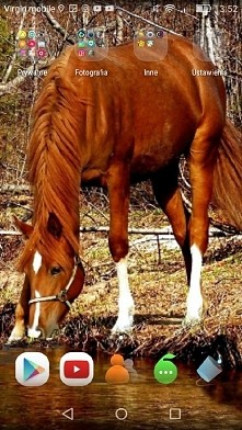 Moja tapeta I love Horse #horse#phone#love#like