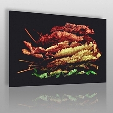 Cztery pory roku - fotograf...