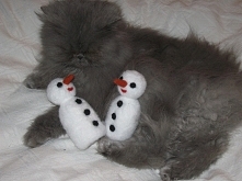 Bałwanek wykonany metodą filcowania na sucho z wsadu do poduszek jest mięciutki i przyjemny w dotyku. Nos , oczka i guziki z wełenki.