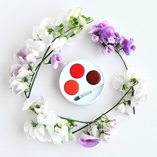 Paletka eko pomadek couleurcaramel.pl