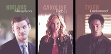 Klaroline czy Forwood?