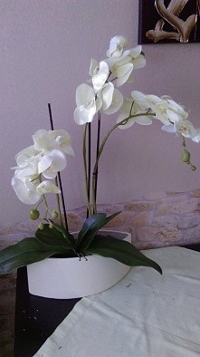 Storczyk ręcznie robiony 13...