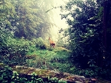 Tegoroczne wakacje w Szklarskiej Porębie ♥