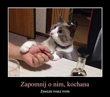 Hehehe :D dobry kotel :p