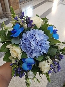 w kolorze niebieskim- moja ...