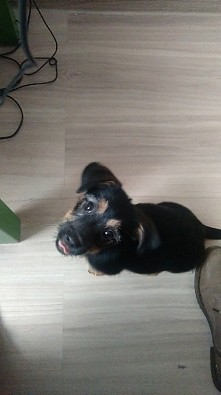 3 miesiące szczęścia *.*