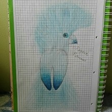 Różdżki w dłoń i do dzieła...