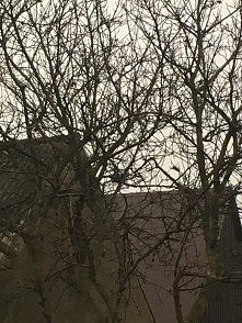 idzie zima czyli idą święta