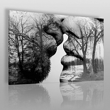 Antologia namiętności - now...