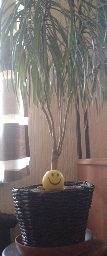 koszyczek z papieru, jako osłona na starą doniczkę