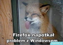 XDD