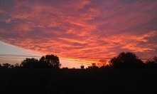 Kto rano wstaje... ten ma p...