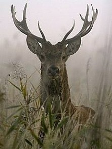 No, pogoda prawie jak u mnie.