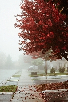 "Nie ma tu życia, tylko powolne umieranie kolejnych dni (...)"