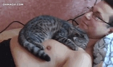 ***