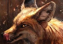 fox