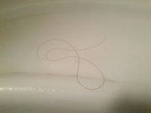 aktualizacja wypadania włosów. Nie jest źle:)szczegóły KLIK na zdjęcie:)