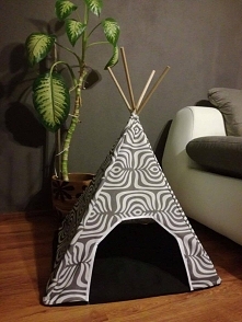 namiot tipi - idealna "baza" dla czworonoga :)