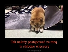 dokładnie