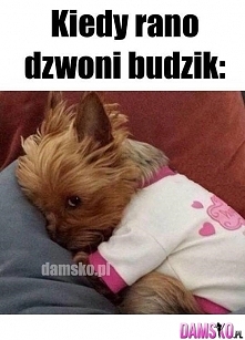 i chłopak do mnie kochanie rób kawe...