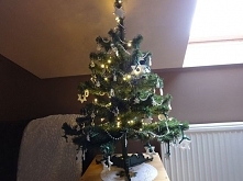 Czas na choinkę;) W tym rok...